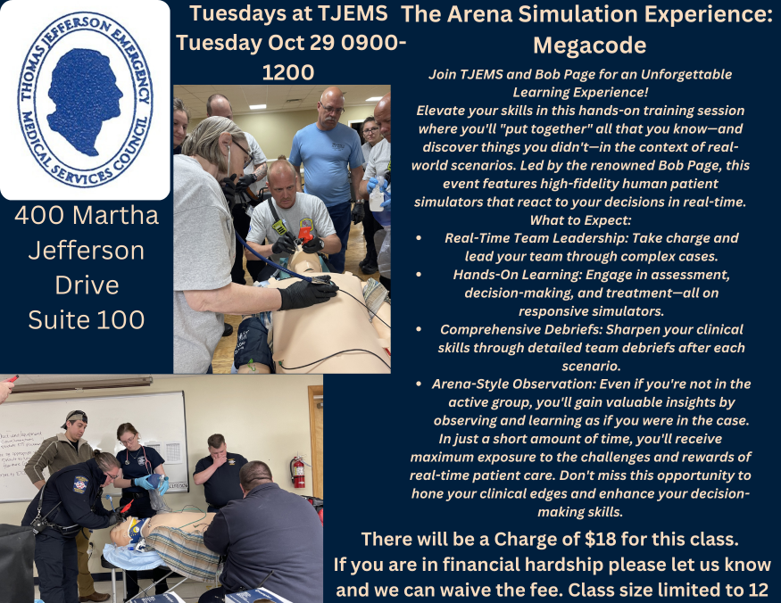 TJEMS_1024_Simulation_1.png
