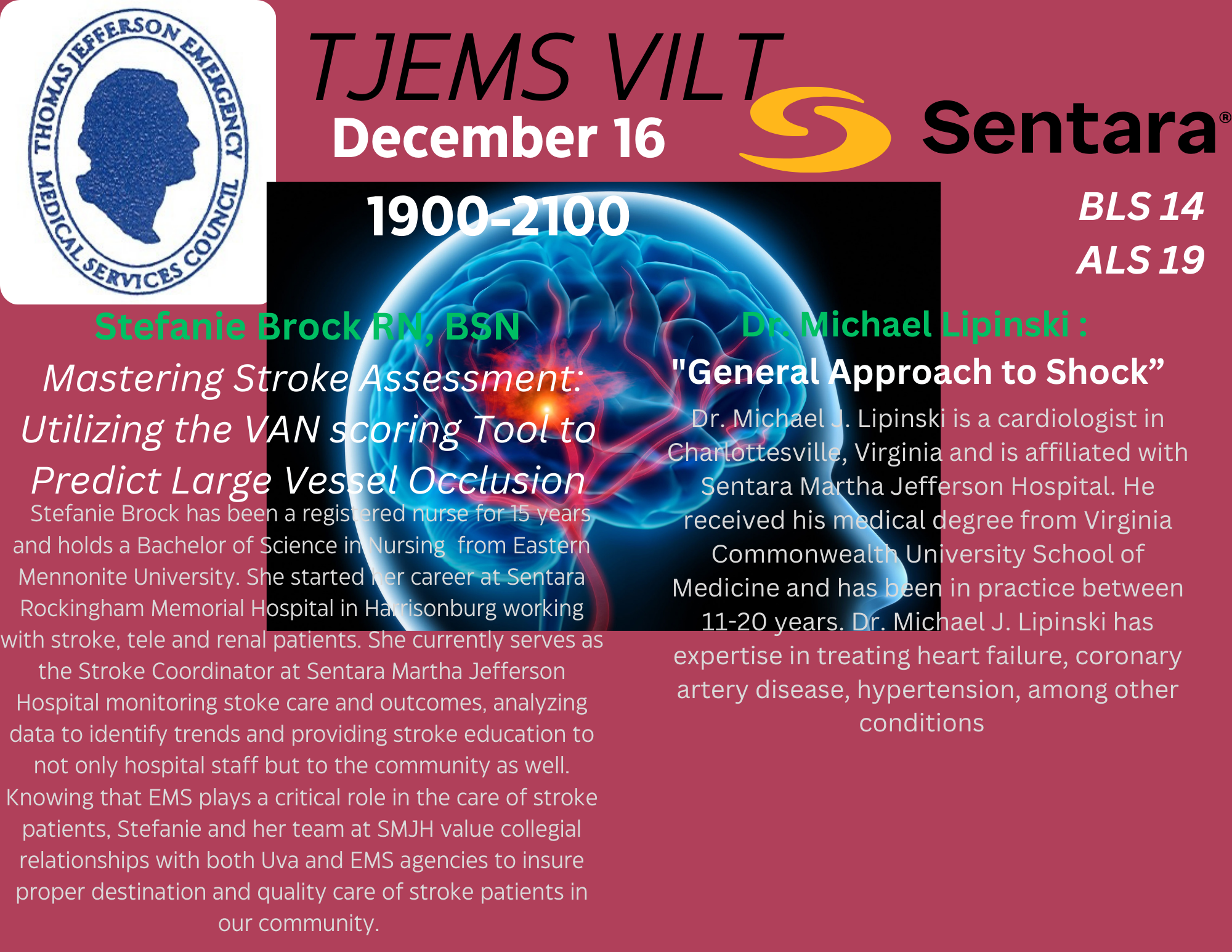 TJEMS 121624 VILT Medical 